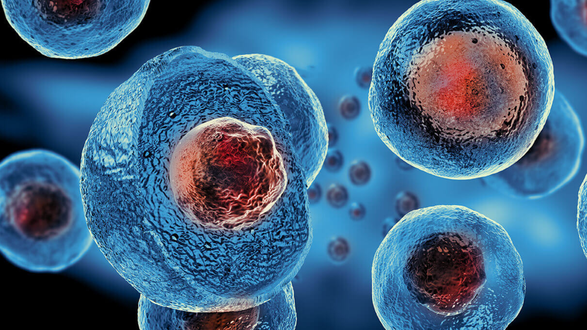 Medical professional preparing stem cell therapy for regenerative treatment